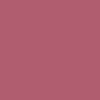 تینت لب شیگلم رنگ primp - ایران شیگلم